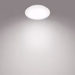 Philips Fonctionnel 8718699681111 éclairage de plafond Blanc Ampoule(s) non remplaçable(s) LED