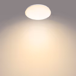 Philips Fonctionnel 8718699681135, LED, Ampoule(s) non remplaçable(s), 2700 K, 1700 lm, IP20, Blanc