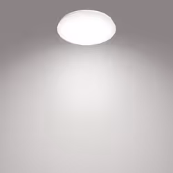Philips Fonctionnel 8718699681159 éclairage de plafond Blanc Ampoule(s) non remplaçable(s) LED