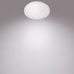 Philips Fonctionnel 8718699729073 éclairage de plafond Blanc Ampoule(s) non remplaçable(s) LED