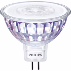 Philips Spot