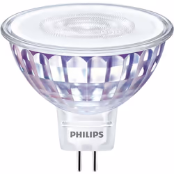 Philips Spot (à intensité variable)