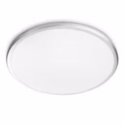 Philips Fonctionnel Plafonnier, LED, Ampoule(s) non remplaçable(s), 1500 lm, IP44, Argent