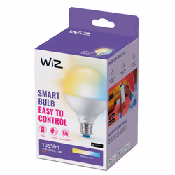 WiZ Globe 75W G95 E27