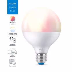 WiZ Globe 11 W (éq. 75 W) G95 E27