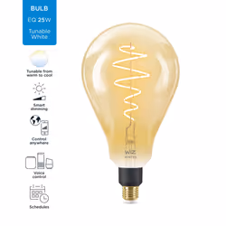 WiZ Ampoule ambre à filament 25 W PS160 E27