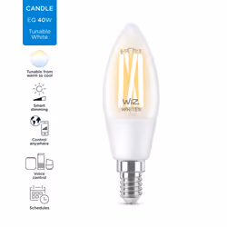 WiZ Ampoule à filament transparente 40W C35 E14