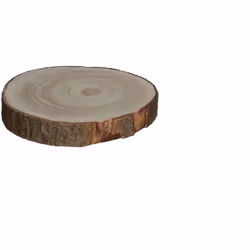 Base décorative en bois naturel, mesure environ h3cm dia. de 17cm à 25cm