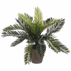 Palmier Sago (CYCA Revoluta) Pvc Avec Pot Gris 33x11.5cm