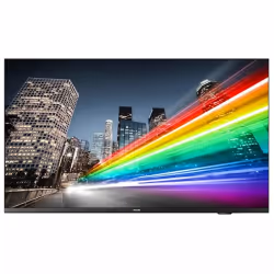 Philips 55BFL2214/12