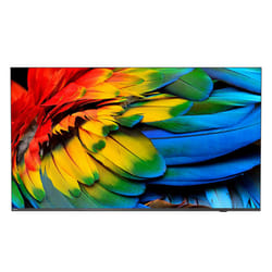 Philips 43HFL6214U Écran enroulable 43" 4K Ultra HD Smart TV Wifi Anthracite