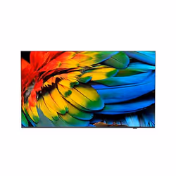 Philips 58HFL6214U/12, 147,3 cm (58"), 3840 x 2160 pixels, 4K Ultra HD, LED, Wifi, Anthracite