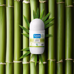 Sanex Natur Protect Fresh Efficacy 48h Deodorant Bille