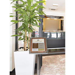Securit MCS-A4-WAL Stand d'information Verre, Plastique, Acier inoxydable, Bois Noyer