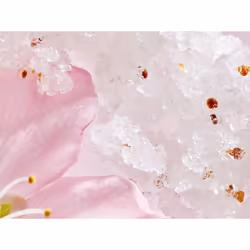 Rituals The Ritual of Sakura 8719134161328 traitement et gommage pour le corps Gommage corporel 250 ml