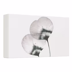 Rituals Homme 8719134166125 kit de soins pour le visage et le corps
