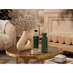 Rituals The Ritual of Jing 8719134180657 purificateur d'air liquide Bouteille Vert, Transparent Lotus 250 ml