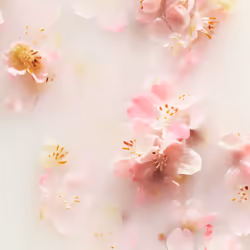 Le Rituel De Sakura bâtonnets parfumés 70 ml