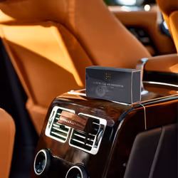 Désodorisant pour voiture Homme 3g