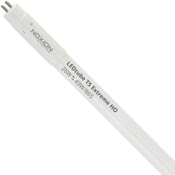 Sans Marque - Noxion Tube led T5 Avant Extreme (Direct 230V) High Output 26W 3900lm - 865 Lumière Du Jour 145cm - Équivalent 49W - 6500K - Lumière du