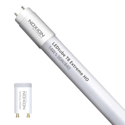 Noxion Tube led T8 Avant Extreme (EM/Direct 230V) High Output 13W