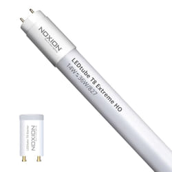 Noxion Tube led T8 Avant Extreme (EM/Direct 230V) High Output