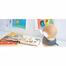Allocacoc GoggleLamp Mr Watt lampe de table 5 W Gris, Bois
