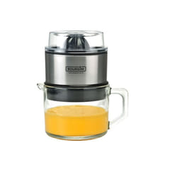 Bourgini Classic Lotte Juicer Deluxe 60 W Acier inoxydable, Transparent