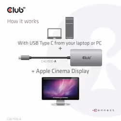 CLUB3D CAC-1510-A câble vidéo et adaptateur 0,25 m USB Type-C DVI Gris - Vue supplémentaire 5