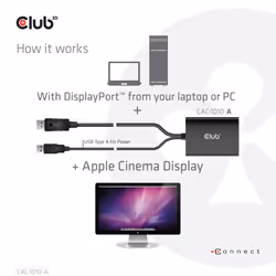 CLUB3D CAC-1010-A câble vidéo et adaptateur 0,6 m DisplayPort DVI-D + USB - Vue supplémentaire 4