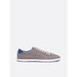 Baskets en toile - Tommy Hilfiger - Flag - Gris acier - Lacets - Col bas