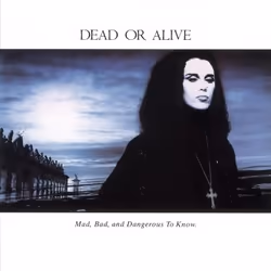 Music On Vinyl Dead Or Alive - Mad, Bad, And Dangerous To Know, Vinyl, Vinyl, Dead Or Alive, Support physique, 09/11/2018, Si ...