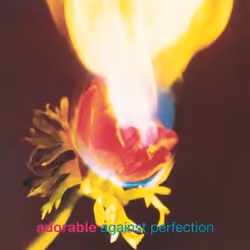 Music On Vinyl Adorable - Against Perfection (1993), Vinyl, Adorable, Support physique, 20/07/2018, Side A 1. GLORIOUS 2. FAV ...