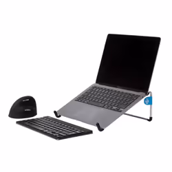 R-Go Tools R-Go Steel Basic Support pour ordinateur portable, argenté