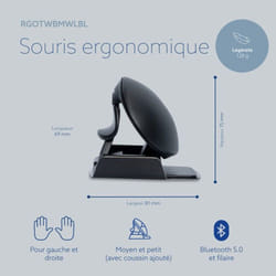 R-Go Tools Twister souris Ambidextre Bluetooth + USB Type-A Optique 2400 DPI