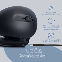 R-Go Tools Twister souris Ambidextre Bluetooth + USB Type-A Optique 2400 DPI
