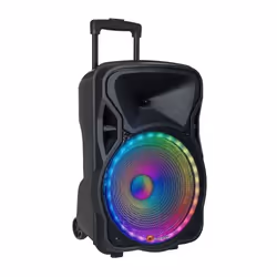 N-GEAR FLASH THE FLASH 1205 Système d'adresse publique de roulette 300 W Noir