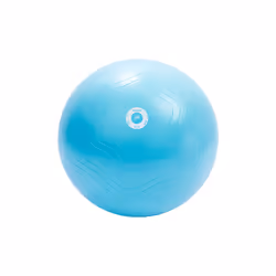 Pure2Improve Ballon d'exercice 65 cm Bleu clair