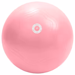 Pure2Improve Ballon d'exercice 65 cm Rose