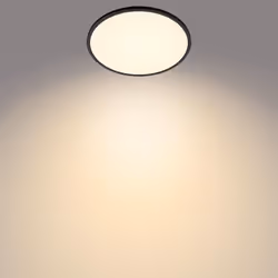Philips Fonctionnel Plafonnier, LED, Ampoule(s) non remplaçable(s), 1500 lm, IP20, Noir