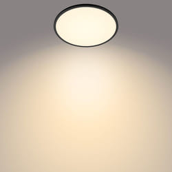 Philips Fonctionnel Plafonnier