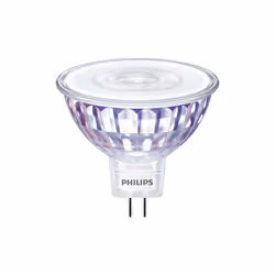 Philips MASTER LED 30736000