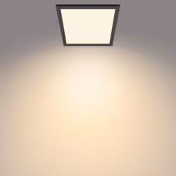 Philips Fonctionnel Plafonnier