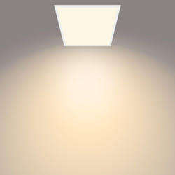 Philips Fonctionnel Plafonnier