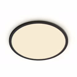 Philips Fonctionnel Plafonnier, LED, 1500 lm, IP44, Noir