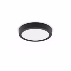 Philips Fonctionnel Plafonnier
