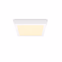 Philips Fonctionnel Plafonnier