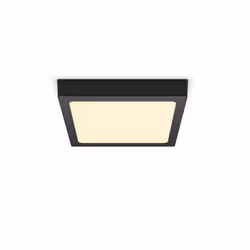 Philips Fonctionnel Plafonnier