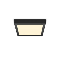 Philips Fonctionnel Plafonnier