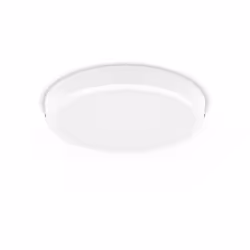 Philips Fonctionnel Plafonnier
